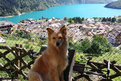 foto galaxy ago-ott 2013 031 foto galaxy ago-ott 2013 031