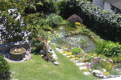 Vista dal balcone sul biotopo Vista dal balcone sul biotopo