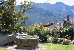 Vista nel giardino Vista nel giardino