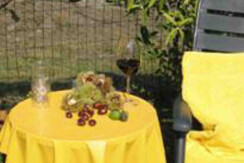 Parte di giardino dell'appartamento Cadenzi Parte di giardino dell'appartamento Cadenzi