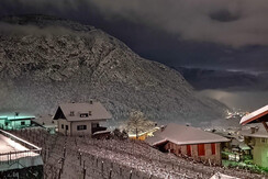 WhatsApp Image 2021-06-08 at 10.17.15 (1)