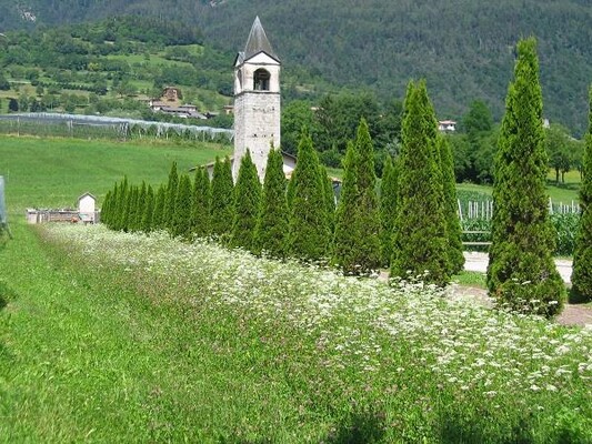 chiesa di san felice