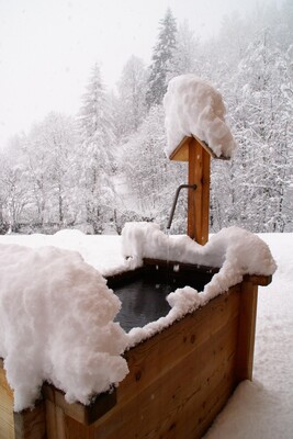 Le Marinolde Val di Rabbi | © Silvano Andreis