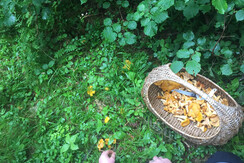 33C4F189-7A4F-45CD-9991-5F5450407CCE