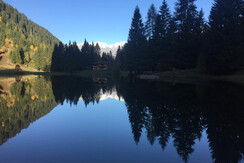 069763B0-A8B3-4E0E-B1FD-120E6B568854