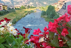 pesca nel torrente Avisio