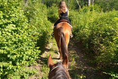 escursione a cavallo, esperienza da provare