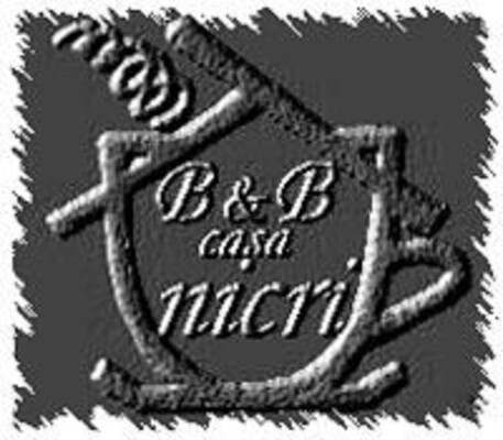 logo casa nicri B&B imer primiero 1