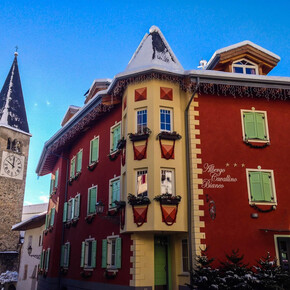 cavallino esterna invernale