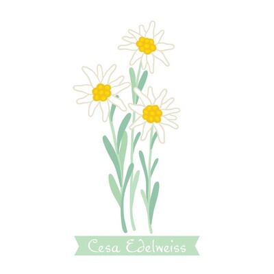 Logo Edelweiss copia