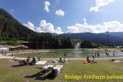 zv Biolago balneabile Predazzo zv Biolago balneabile Predazzo