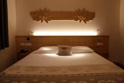 stella alpina stella alpina