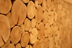 particolare botton particolare botton