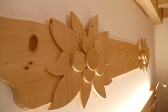 particolare stella particolare stella