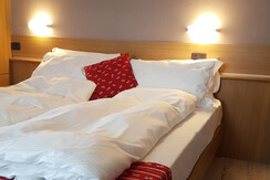 CiasaAlpinaRelaxHotel_Moena_20170630_103311