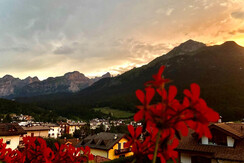 2020-07-31 20.57.18 2020-07-31 20.57.18