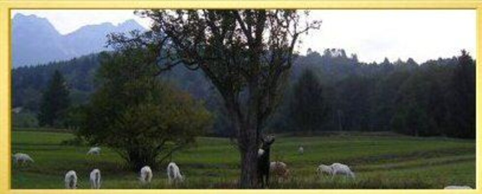 Trentino, Altopiano della Vigolana, Albergo Cinzia
