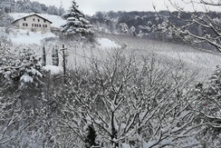 panorama  invernale
