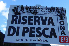 A settembretricotteri 