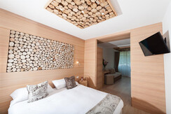 12 Camera Junior Suite