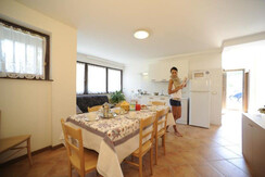 fototonina  (516) fototonina  (516)