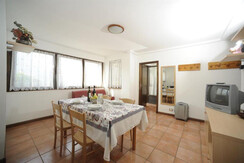 fototonina  (1) fototonina  (1)