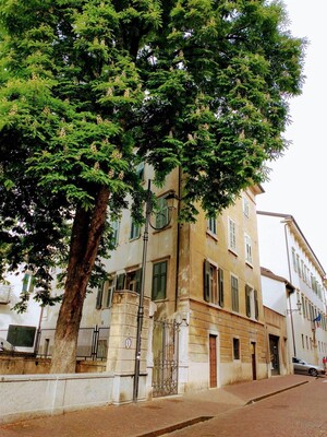Castagna Matta2