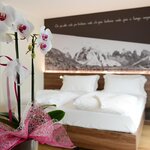  Foto von NATURE Zweibettzimmer HP