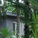  foto van Cottage Vista Lago NOT REFUNDABLE