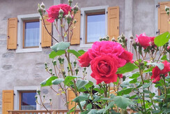 Casa vista dal giardino Casa vista dal giardino