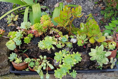 20180808_092209 20180808_092209