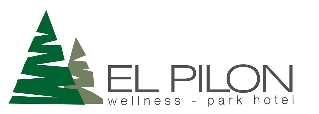 logo hotel el pilon