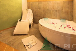 jacuzzi Bio Suite Wellness jacuzzi Bio Suite Wellness