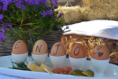 ledro enjoy  ledro enjoy