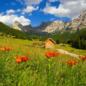 I colori della primavera