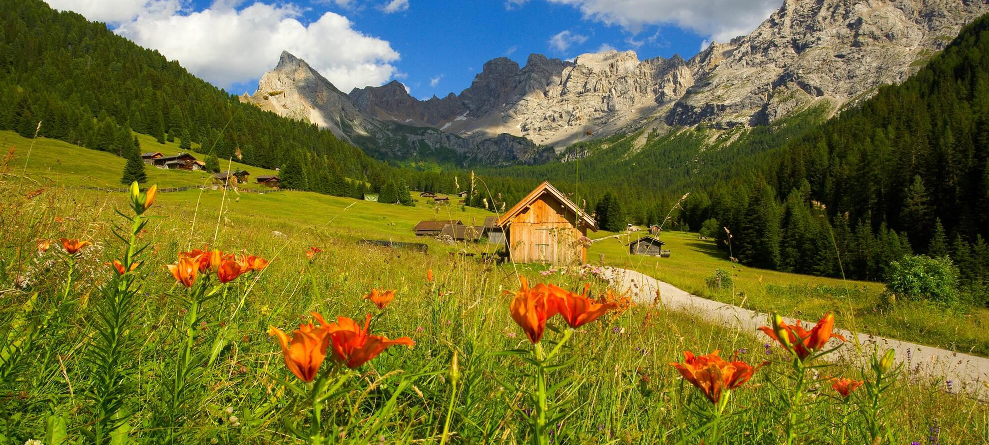 I colori della primavera