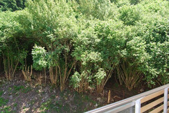 nature_3_feeling_hotel_fontanella_molveno nature_3_feeling_hotel_fontanella_molveno