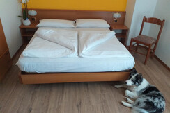 20190331_151642 20190331_151642