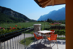 cameratripla_ cameratripla_