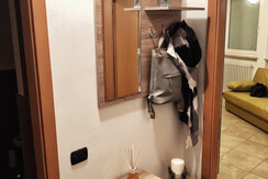 photo5938177283749688156