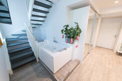 SOX_2242 (Large) SOX_2242 (Large)