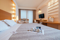 deluxe (3)-min deluxe (3)-min