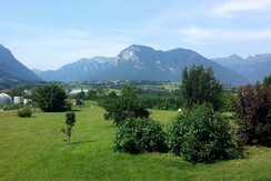 giardino  dietro luglio 2015 giardino  dietro luglio 2015