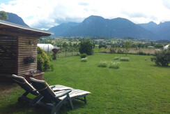 particolare giardino  particolare giardino