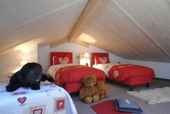 stellaalpinadescrizione