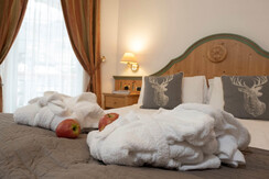 Camera Superior Larsech part 2