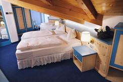 Rododendro mansardata Rododendro mansardata