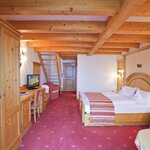 Foto di Family Suite - Rododendro