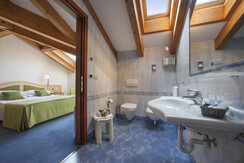 camera standard verde