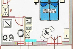 camera nature piantina 20